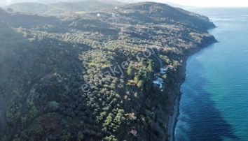 Turyap Çiftlikköyden Esenköyde 2 Dönüm Satılık Hisseli Tarla