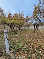 Meram Erenkaya Mh Satılık 557 M² Müst Bahçe Teli Çevrili