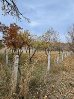 Meram Erenkaya Mh Satılık 557 M² Müst Bahçe Teli Çevrili