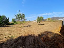 Esmer Emlak'tan Kuzulukta İmarlı Satılık Arsa