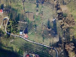 !!! Esmer Emlak'tan Satılık Fındık Bahçesi !!!