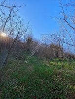 !!! Esmer Emlak'tan Satılık Fındıklık !!!