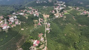 Esmer Emlak Tan Satılık Arsa