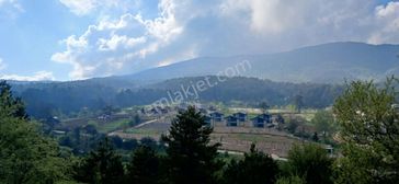 Sahibinden Boğazova Da Tapulu Arsa