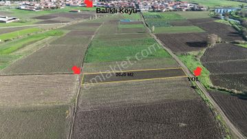 Balnovadan Altıeylül Balıklıda 2020m2 Satılık Tarla
