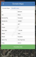 Balnovadan Balya Kocacamide 2 Adet Toplam 2,604 M2 Satılık Tarla