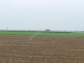 Yeni Toki Bölgesinde Sahibinde Acil Satılık Son Parseller