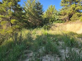 İzmir Buca Belenbaşı'nda 1.198 M2 Villa Yapılabilir Arazi. Açıklamayı Okuyarak Arayınız.