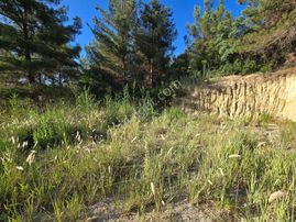 İzmir Buca Belenbaşı'nda 1.198 M2 Villa Yapılabilir Arazi. Açıklamayı Okuyarak Arayınız.