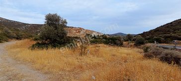 Mühendis Emlak'ta Urla Balıklıova Ildır Yolu Üzeri 6 Dönüm Tarla