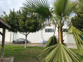 Antalya Altınova Da Faal İşletmede Devren Satılık Fabrika