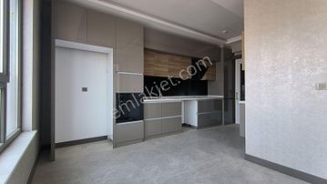 Masrafsız Tapu Yap Hemen Taşın