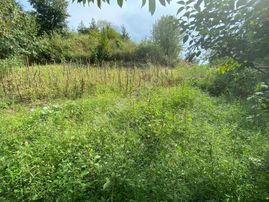 Rw Land Gayrimenkul Den Doğancı Da Bursa-keles Yol Üzeri Tarla