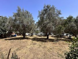 Rw Land Gayrimenkul Odunluk Doğa İçinde Geniş 2+1 Ayrı Mutfak