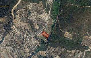 Rw Land Gayrimenkul Çağrışan 1/1000lik Planda Villa İmarlı Arazi