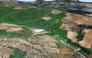 Rw Land Gayrimenkul Çağrışan 1/1000lik Planda Villa İmarlı Arazi