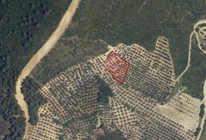 Rw Land Gayrimenkul Çağrışan 1/1000lik Planda Villa İmarlı Arazi