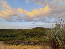 Rw Land Gayrimenkul Çağrışan 1/1000lik Planda Villa İmarlı Arazi