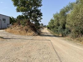 Rw Land Gayrimenkul Den Yaylacık Satılık Arazi