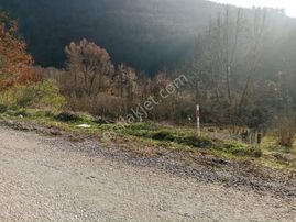 Rw Land Gayrimenkul'den Gemlik Fındıcakta Hobi Bahçesi