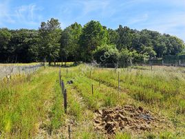 Kocaeli Derince Tahtalı Göletinin Yanında 907m2 Fırsat Arsa