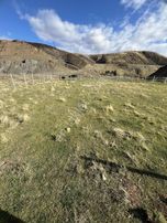 Kuzey Emlak Tan Asfalst Yola Cephe Acil Satılık 1020 Metre Kare