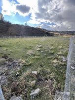 Kuzey Emlak Tan Asfalst Yola Cephe Acil Satılık 1020 Metre Kare