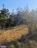 Selbükünde Satılık Yatırıma Uygun Tarlalar