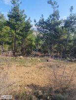 Selbükünde Satılık Yatırıma Uygun Tarlalar