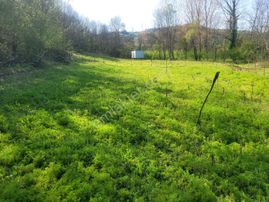 Harika Konumda, Dümdüz, Fırsat Arazi, Doğanın İçinde