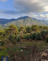 Yazırda Bu Fiyata Yok