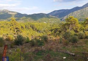 Yazırda Bu Fiyata Yok