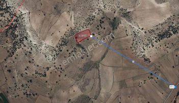 Kaçmaz Fırsat! Kütahya Merkezde Yaklaşık 5 Dönüm Tek Tapu Tarla!