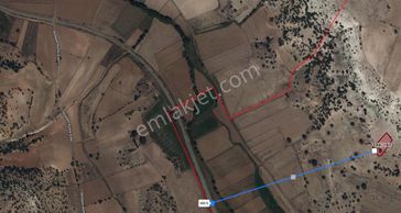 Kaçmaz Fırsat! 1.6 Dönüm Tek Tapu Tarla! Her Bütçeye Uygun