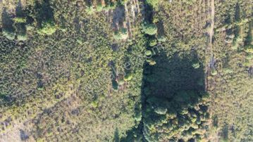 Yön Group'tan Ahmedı'ye De Satılık Arsa