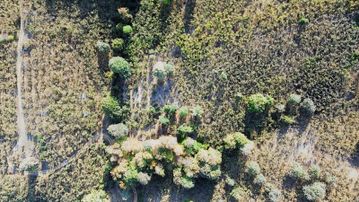 Yön Group'tan Ahmedı'ye De Satılık Arsa