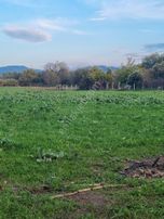 Premar Ayvada'dan Burhaniye Börezli