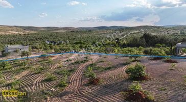 Yukarıarıl Tek Tapu Şehre Yakın Manzaralı Uygun Fiyat Fırsat Yer