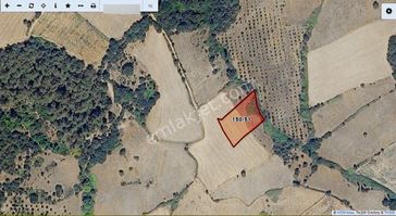 Mir'den Çanakkale Yenice Bayatlar Da Satılık 1700 M2 Tarla