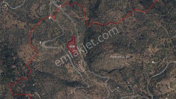 Kaçmazer'den Tire Cambazlıda Yatırımlık Arazi