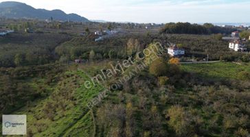 Revizyon'dan Güzelyalı'da Yatırım Fırsatı!!