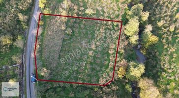 Revizyon'dan Yüceler'de Doğayla İç İçe Parseller!!