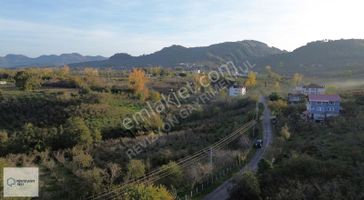 Revizyon'dan Yüceler'de Doğayla İç İçe Parseller!!