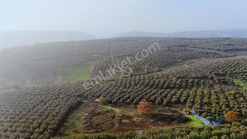 Gelişen Bölgede 4.280 M² Kaçırılmayacak Yatırım Fırsatı