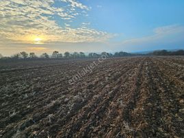 İpsala İbriktepe Köyünde Satılık Tarla