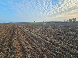 İpsala İbriktepe Köyünde Satılık Tarla