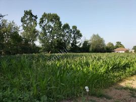 Yılmaz Mega'dan Vakıf Ada Caddesinde 930 M2 Konut İmarlı Arsa