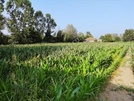 Yılmaz Mega'dan Vakıf Ada Caddesinde 930 M2 Konut İmarlı Arsa