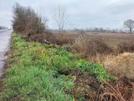 2.organize Sanayiye Yakın Yola Cepheli Satılık Tarla