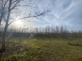 Kırklareli Vize Küçükyayla Köye Yakın Tek Tapu Müstakil Satılık Tarla